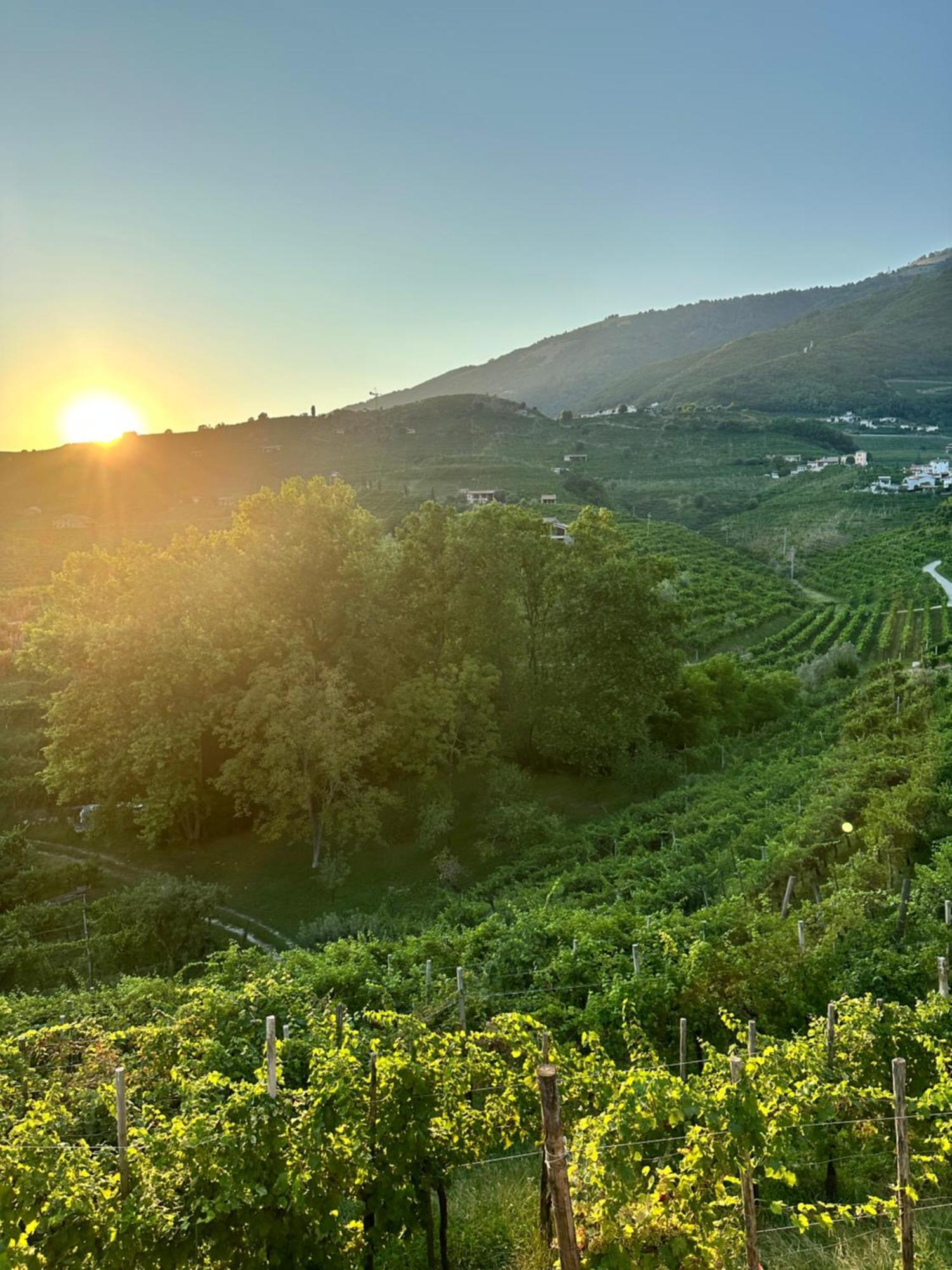 Casa Callonga Valdobbiadene Εξωτερικό φωτογραφία
